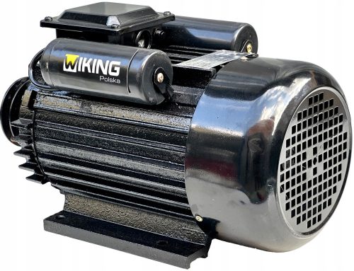 Wiking Polska W250 Elektromotor 4 PS 3 kW