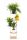  Strado Blumenständer 106 cm Metall