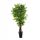 Künstliche Blumen und Früchte Künstliche Baumblumen Feigenbaum 200 cm