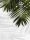 FOTOTAPETE 200x254 Vliestapete BLATT #F154