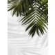 FOTOTAPETE 200x254 Vliestapete BLATT #F154