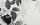 FOTOTAPETE 400x254 Vlies BLUMEN #F180