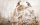 FOTOTAPETE 400x254 Vlies BLUMEN #F163