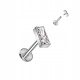  BART-LIPPEN-LABRET! RECHTECKIGES TITAN G23