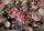 3D-Tapete Blumen Blätter Pflanzen 416 x 254
