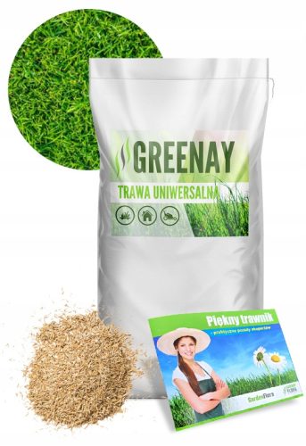  Ziergras, Grasmischung, Garten Greenay 250 m² 5 kg + Schöner Rasen – Praxistipps von Experten Gemeinschaftsarbeit