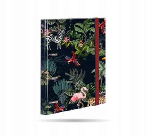  BINDER mit A4 COOLPACK Malandi-Blättern