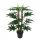 Künstliche Blumen und Früchte Künstlicher Baum Shefler Tree 60 cm