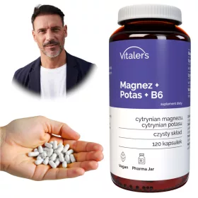   Vitaler's Magnez 100 mg + Potas 150 mg + B6 10 mg - Vitaler Nahrungsergänzungsmittel für Sportler, 120 Kapseln