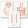  SET MIT 3 A3-POSTERN MIT BABYNAMEN, HASE, BLUMEN