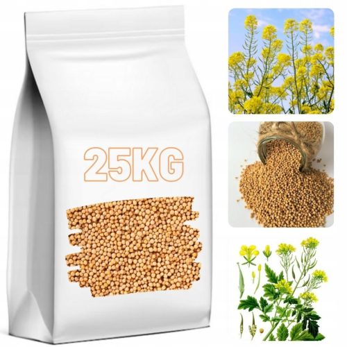  Weißes Senfkorn von guter Qualität, 25 kg