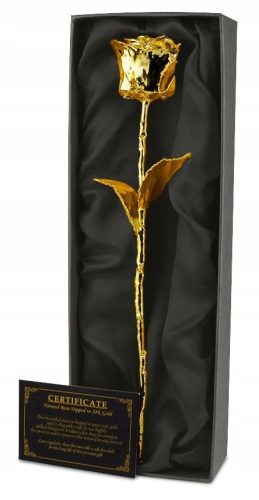 Coole, lustige Gadgets Gold Rose 24 Karat VIP-Geschenk für einen Lehrer