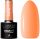  Claresa Hybrid CANDY 3 ORANGE orange PIN