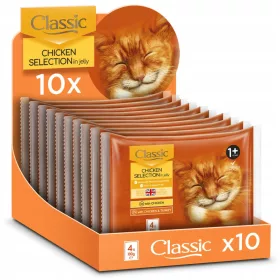  Butchers Classic Beutel mit Geschmacksmischung 40x100g