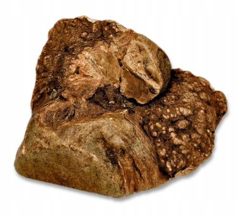  Beißring FÜR HUNDE, Bruyèrewurzel L, natur, hart