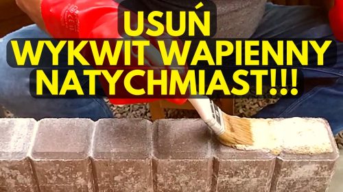 Ausblühungsentferner 5l.-50m2 SEHR STARK!