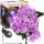  Interlook eingebettete Solarlampe 76 cm 1 Stk.
