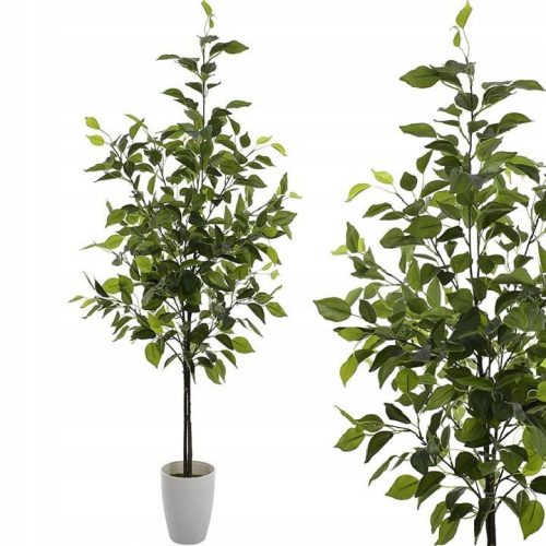 BAUM BENJAMIN BAUM ZUSAMMENSETZUNG BLATT ZWEIG