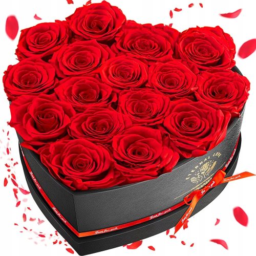 Real Eternal Rose Valentinstagsgeschenk 16 Stück