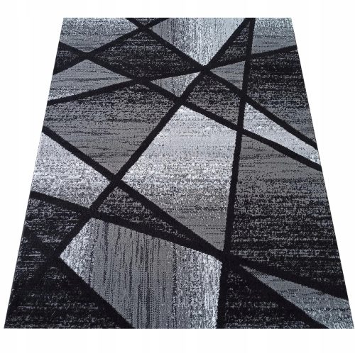 Teppiche Teppich mit kurzem Flor Dywanopol 120 x 170 cm