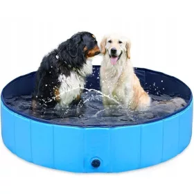 HUND, TIER, KINDER, GARTENPOOL 160cm XXXL