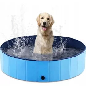 HUND, TIERE, KINDER, GARTENPOOL 80x20cm