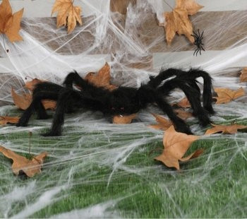  Spinne Party Tino 60 x 16 cm 1 Stk.