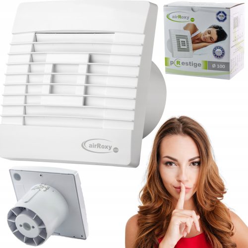 airRoxy Badventilator BADEZIMMERVENTILATOR BLIND 100 mm