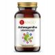  YANGO Ashwagandha mit B-Vitaminen, 90 Kapseln.