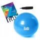  GROSSER GYMNASTIKBALL 65 REHABILITATION + PUMPE