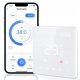  WiFi-Thermostat mit 2 Wasserheizfunktionen