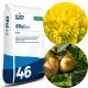 Gartendünger - Harnstoffdünger Grupa Azoty Granulat 25 kg 25 l