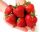  Walderdbeeren und Polka-Erdbeeren - Grandarosa-Sämling mit nackter Wurzel 10-25 cm