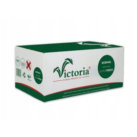  Würfel, nasser Blumenschwamm für Blumen, 20 Stk