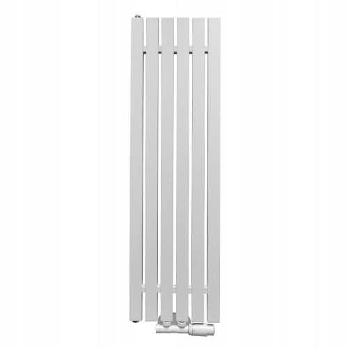Regnis Wasserbadheizkörper 438 W 290 x 1000 mm weiß