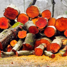  ERLENHOLZ ZUM RÄUCHERN AUF DEM FEUERGRILL 50L XXL