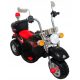  Motorsport R-Sport Schwarz bis 25 kg