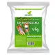  Naturis Grasmischung 160 m² 4 kg