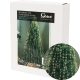 Lampki choinkowe Goliat wewnątrz 5 m 501 - 1000 lampek
