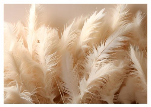 3D FEATHERS Fototapete für Schlafzimmer, Wohnzimmer, 312x219