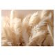 3D FEATHERS Fototapete für Schlafzimmer, Wohnzimmer, 312x219