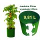  Aufstecktöpfe für den Anbau von Tomaten