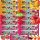 BUNNY NINJA Frucht Snack Sticks in 3 spannenden Geschmacksrichtungen