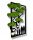 Dekoratives Moos Ein lebendiges Gemälde der Moosfamilie BONSAI PREMIUM 60cm HIT!
