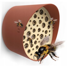  MODERNES HOTEL CAPI EUROPE BEE HOUSE