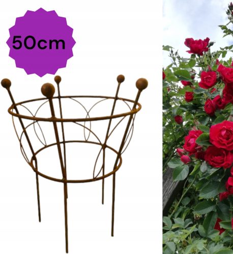 Stütze für Pflanzen, Büsche, Gartenstützen, Durchmesser. 50 Höhe 60 cm Stil und Qualität