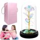 Ewige rote Rose in LED-Geschenkbox aus Glas