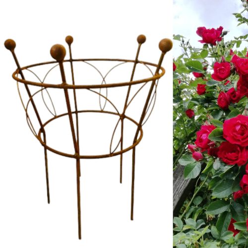  Stütze für Pflanzen, Büsche, Stützen D40 H50 Stilvoller Garten, polnische Qualität
