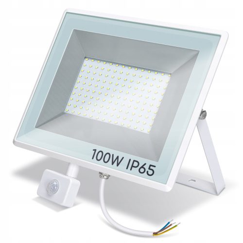 Halogene für den Außenbereich und den Garten Schlanker LED-Fluter Aigostar, neutralweiß, 10.000 lm, 100 W