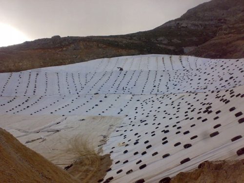 Agrartextil - Gutex Geotextil weiß 3x50 m